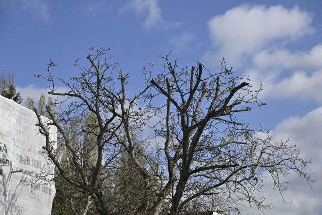 Niekończący się remont sąsiadów Kaczyńskiego