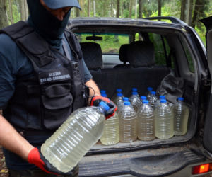 Leśna bimbrownia pod Gródkiem zlikwidowana przez KAS [ZDJĘCIA]