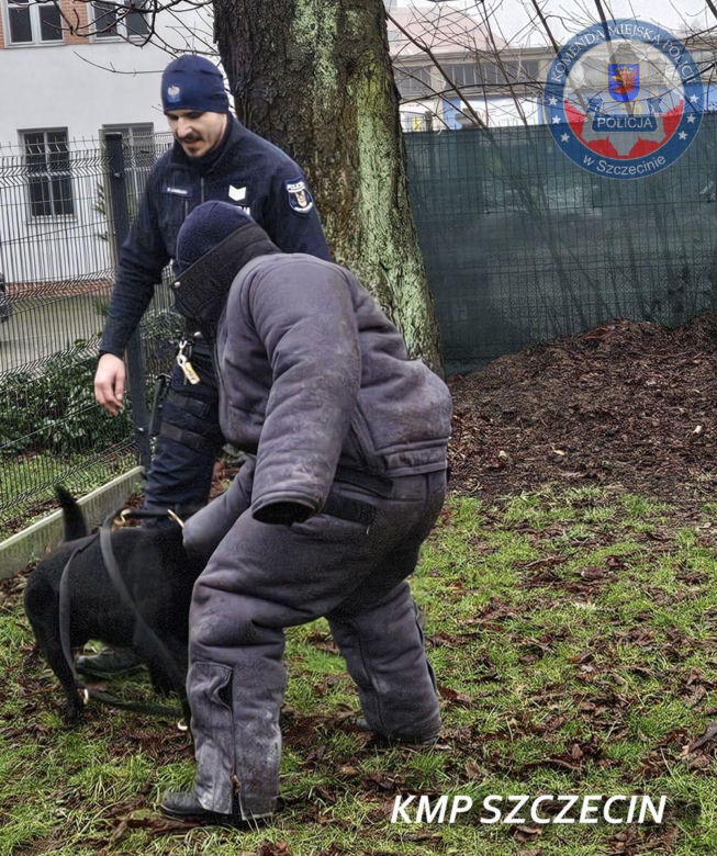 Nowe psy w zachodniopomorskiej policji
