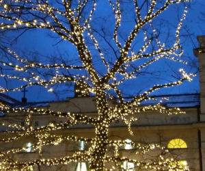 Świąteczna Iluminacja Warszawy