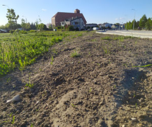 Teren łąki kwietnej przy remontowanej ul. Monte Cassino oraz postępy remontu - ZDJĘCIA