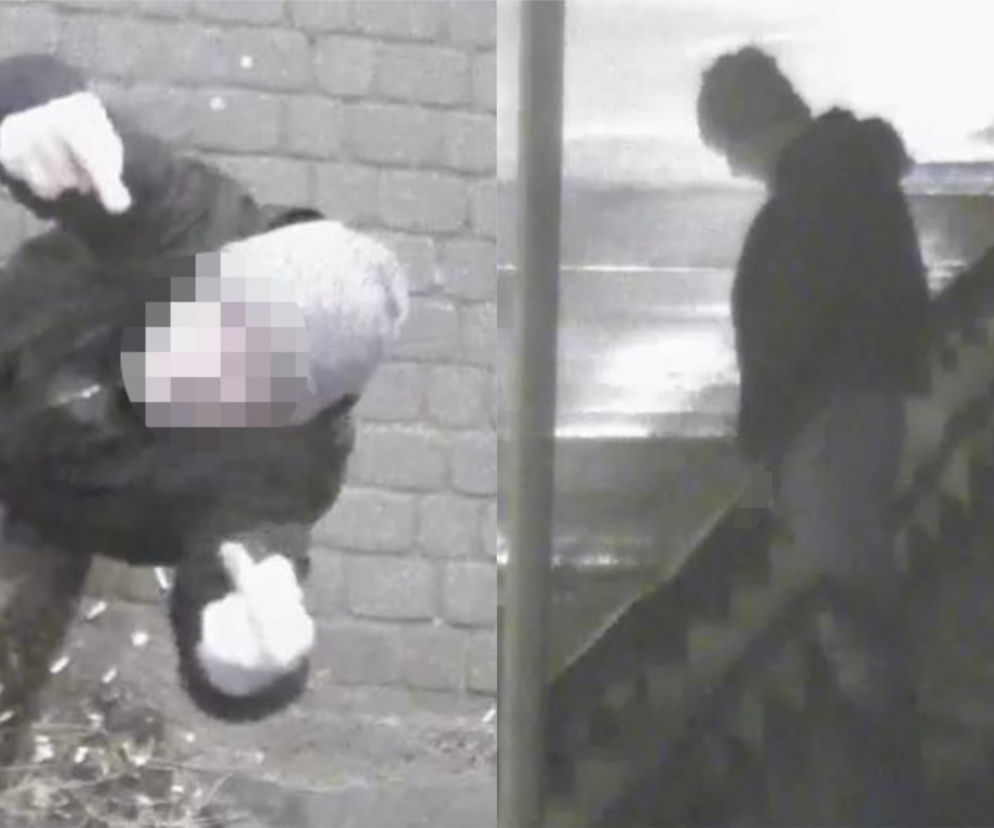 Bydgoszcz. Pokazał środkowy palec i oddał mocz na moście! Wszystko się nagrało