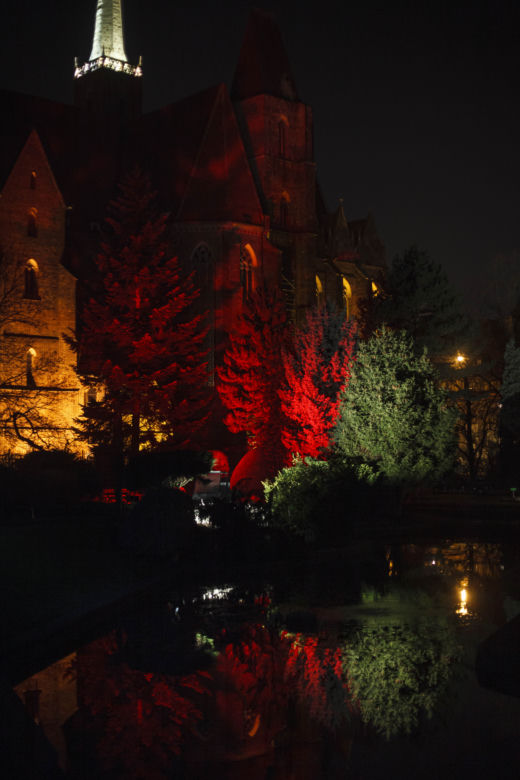 Lasery, muzyka i kolorowe iluminacje w Ogrodzie Botanicznym we Wrocławiu