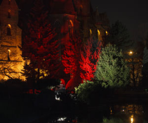 Lasery, muzyka i kolorowe iluminacje w Ogrodzie Botanicznym we Wrocławiu