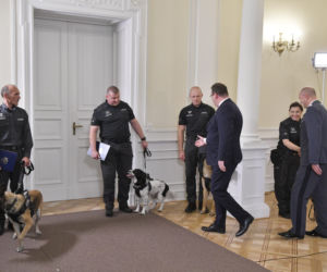 Służby więzienne z psami