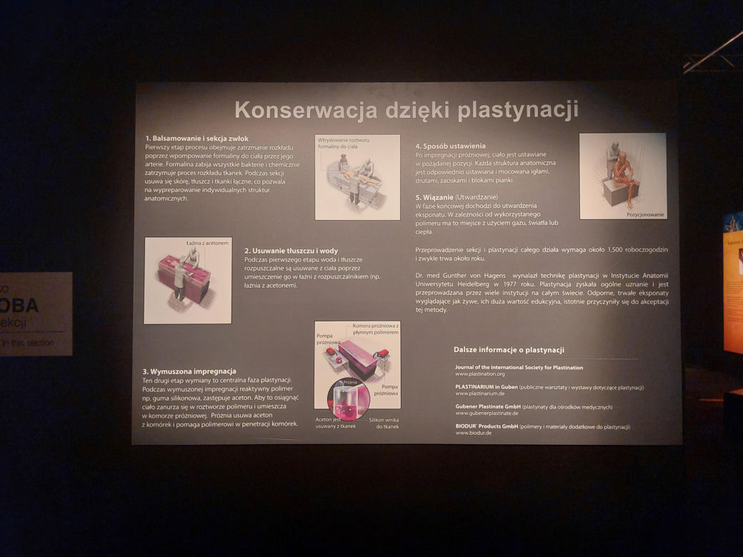 Wystawa Body Worlds w Szybie Wilson w Katowicach