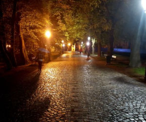 Aleja pod Kasztanami w Rzeszowie