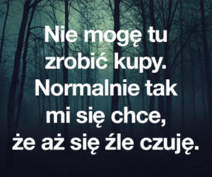 Cytaty z Warsaw Shore