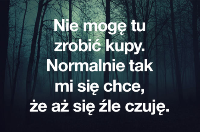 Cytaty z Warsaw Shore