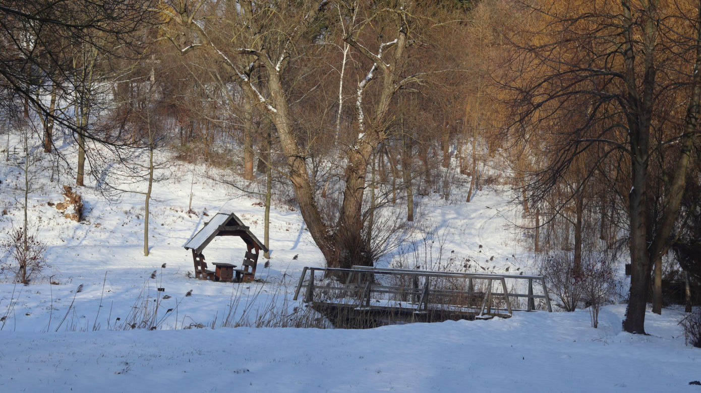 Cicho i wszędzie biało. Tak prezentuje się skansen w Lublinie w zimowej odsłonie! [GALERIA]
