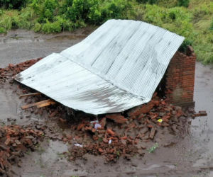 Krokodyle i hipopotamy na ulicach! Władze ostrzegają