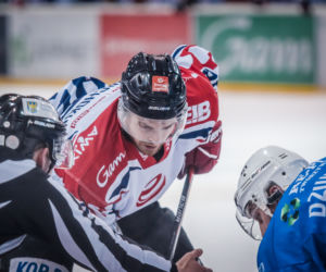 KH Energa Toruń - Re-Piast Unia Oświęcim, zdjęcia z Tor-Toru
