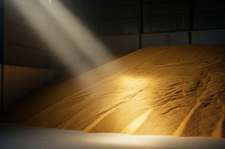 Grupy producenckie tracą na popularności