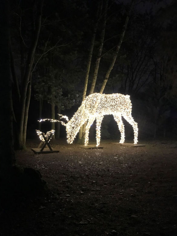 Luminaa Park 