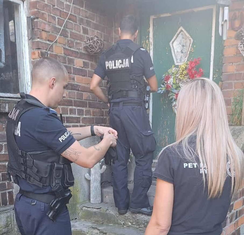 Dramatyczna interwencja Pet Patrol Rybnik. Pies konał w samotności