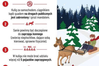 Kulig zamienił się w koszmar! Matka i córka w szpitalu po zderzeniu z traktorem