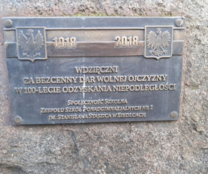 Siedleckie szkoły przy ul. Konarskiego i Prusa i ich okolica w lutym 2021 roku