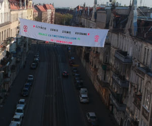 Czerwone wdowy na dachach wrocławskich kamienic