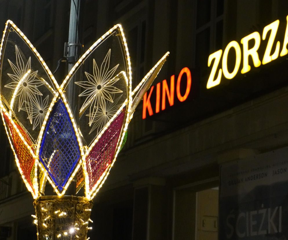 Świąteczne iluminacje rozświetliły Rzeszów. Czuć już magię świąt na ulicach miasta [ZDJĘCIA]