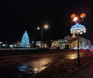 Choinka miejska Siedlce