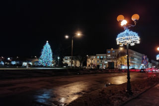 Choinka miejska Siedlce