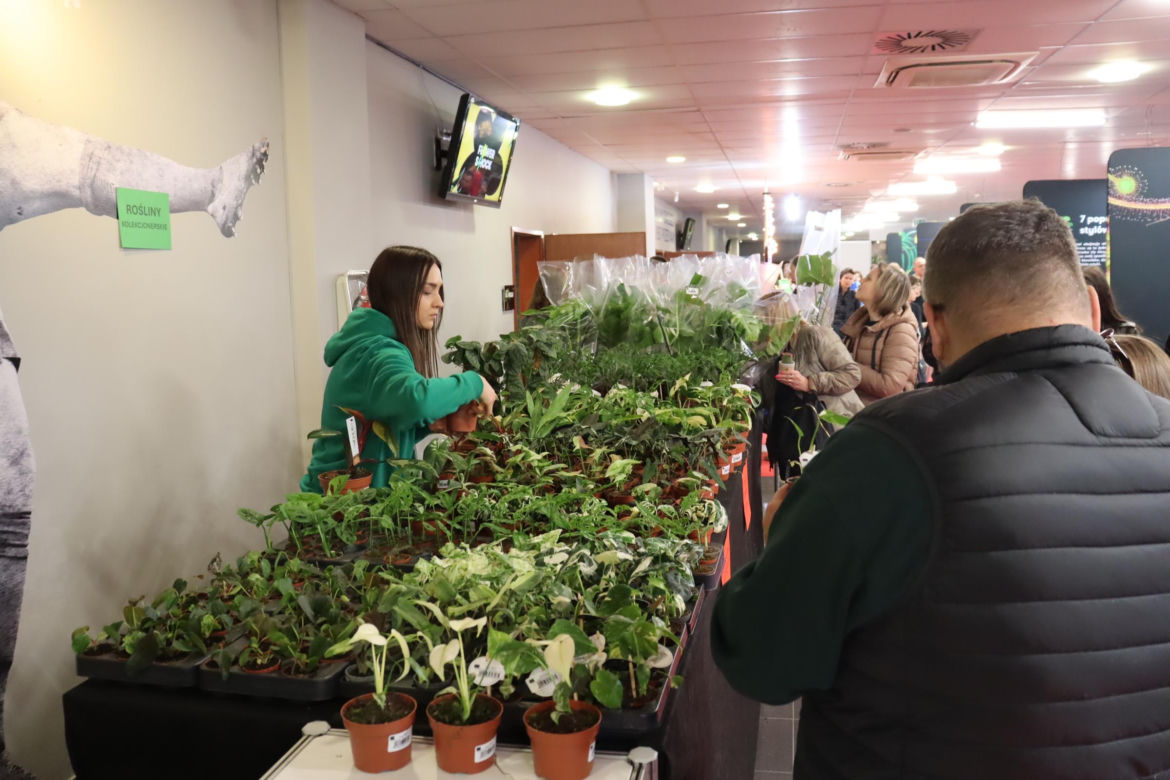 World Flower Show w Poznaniu