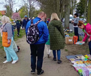 Pchli targ na Pogodnie