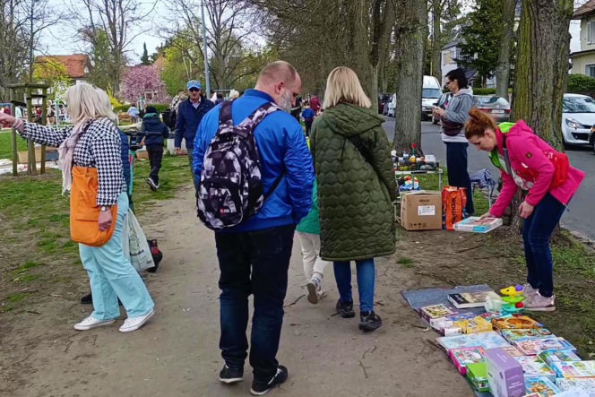 Pchli targ na Pogodnie