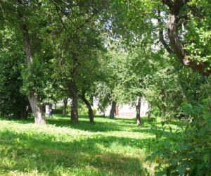 Niewyobrażalna zbrodnia we wsi na Lubelszczyźnie. Krzysztof zarąbał rodzinę