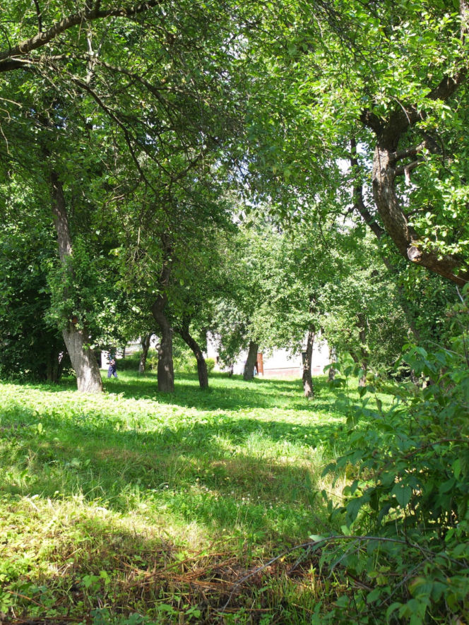 Niewyobrażalna zbrodnia we wsi na Lubelszczyźnie. Krzysztof zarąbał rodzinę
