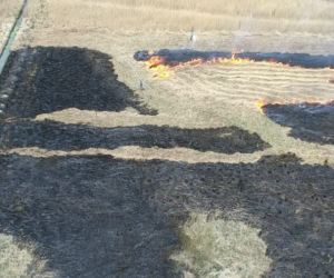 Wypalał trawę, namierzył go dron.