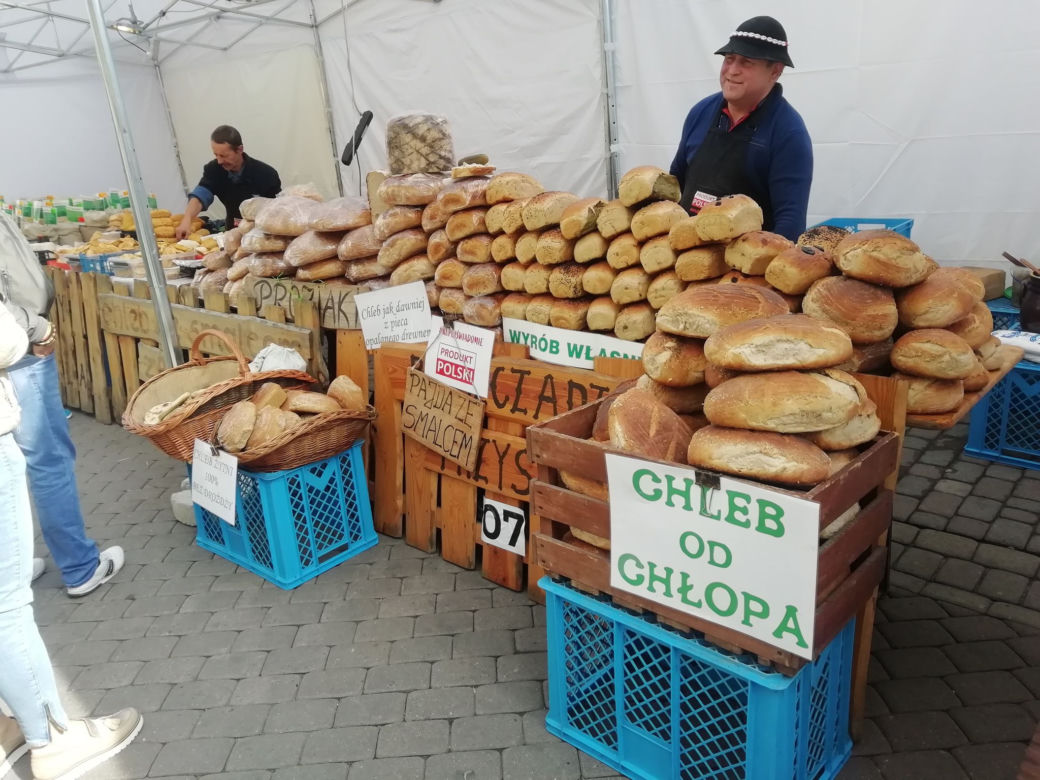 W Rzeszowie ruszył festiwal Karpaty na Widelcu. Co będzie się działo na Rynku? 