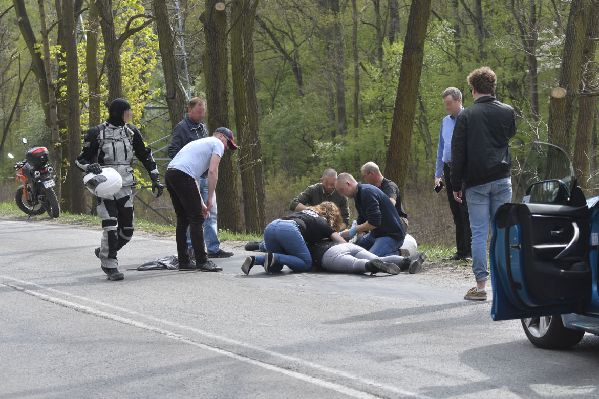Łoś uderzył w motor przed rondem w Zielonce 