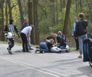 Łoś uderzył w motor przed rondem w Zielonce 