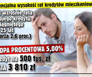 Raty kredytów