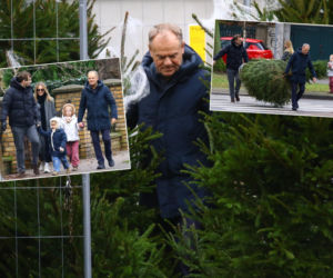 Donald Tusk kupił dwie choinki. Wiemy, ile zapłacił