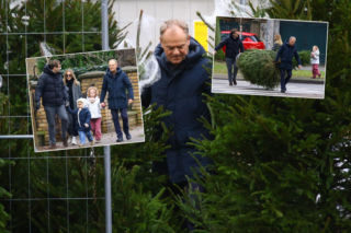 Donald Tusk kupił dwie choinki. Wiemy, ile zapłacił