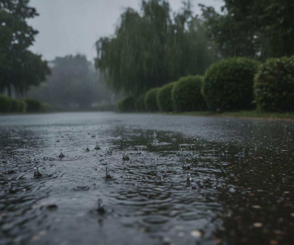 Krople deszczu uderzają w zalaną asfaltową drogę w otoczeniu zieleni. O pogodzie w Krynicy przeczytasz na Eska Kraków.