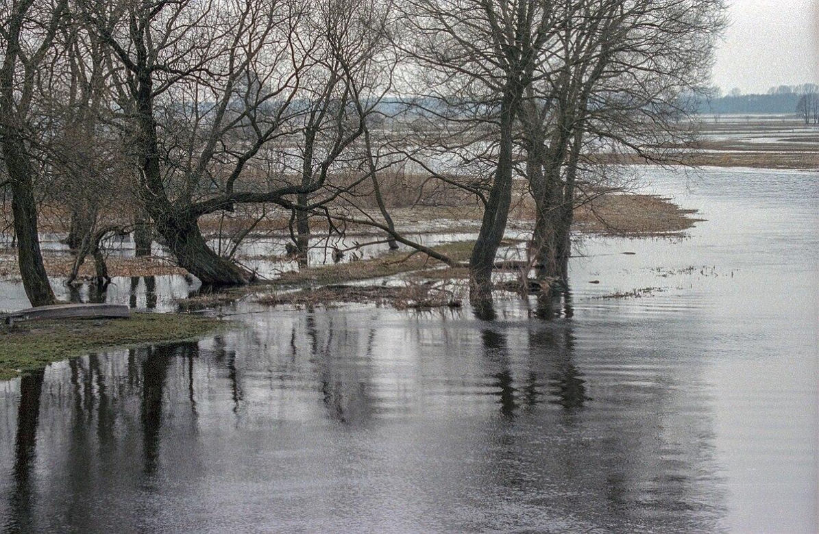 Biebrzański Park Narodowy, Północny Basen Biebrzy (okolice Goniądza)