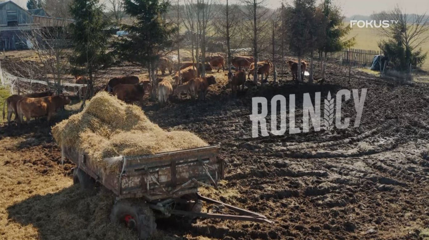 Kadry z serialu Rolnicy. Podlasie, odcinek 5.