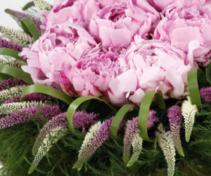 Różowe peonie w bukiecie