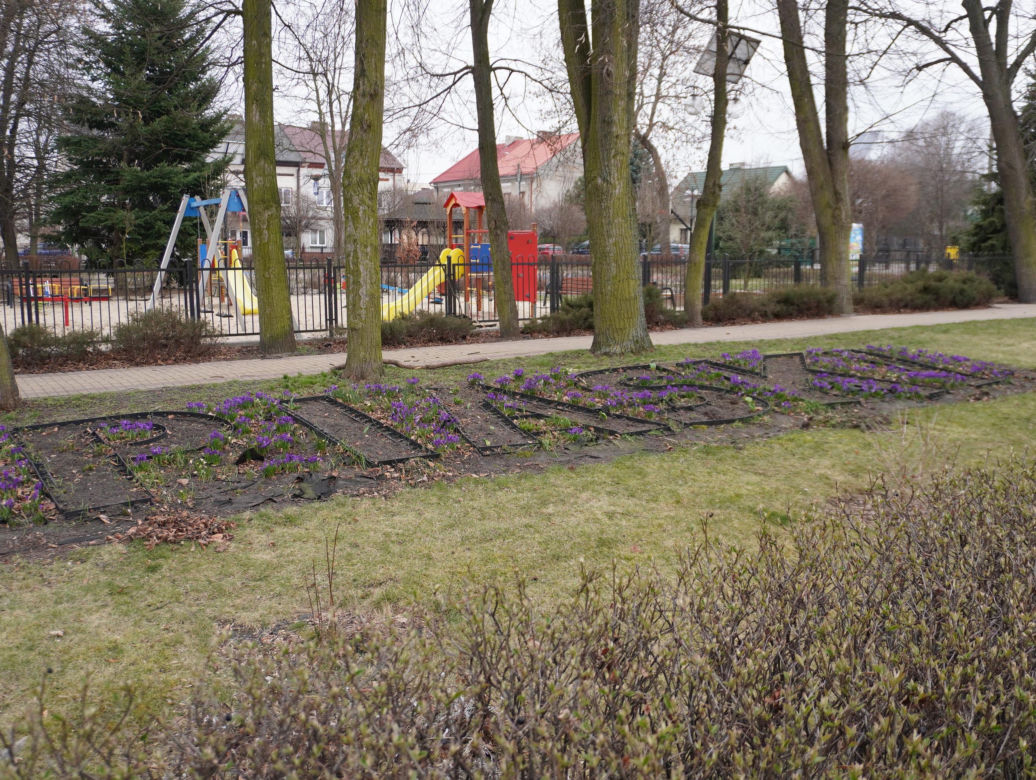 Miasto Piaski w pow. świdnickim