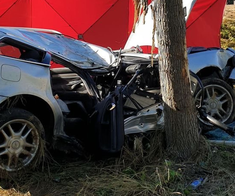 Typin: Rodzinna tragedia na drodze. 40-latek nie żyje, rodzina w szpitalu. Nowe fakty