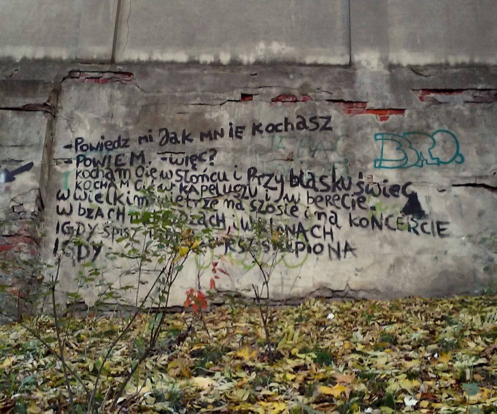 Wiesz znajduje się przy jednym z wejść do Saskiego