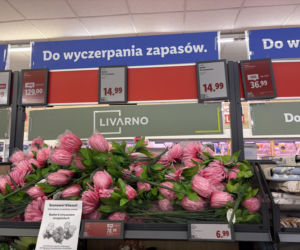 Kwiaty na Wszystkich Świętych 2026