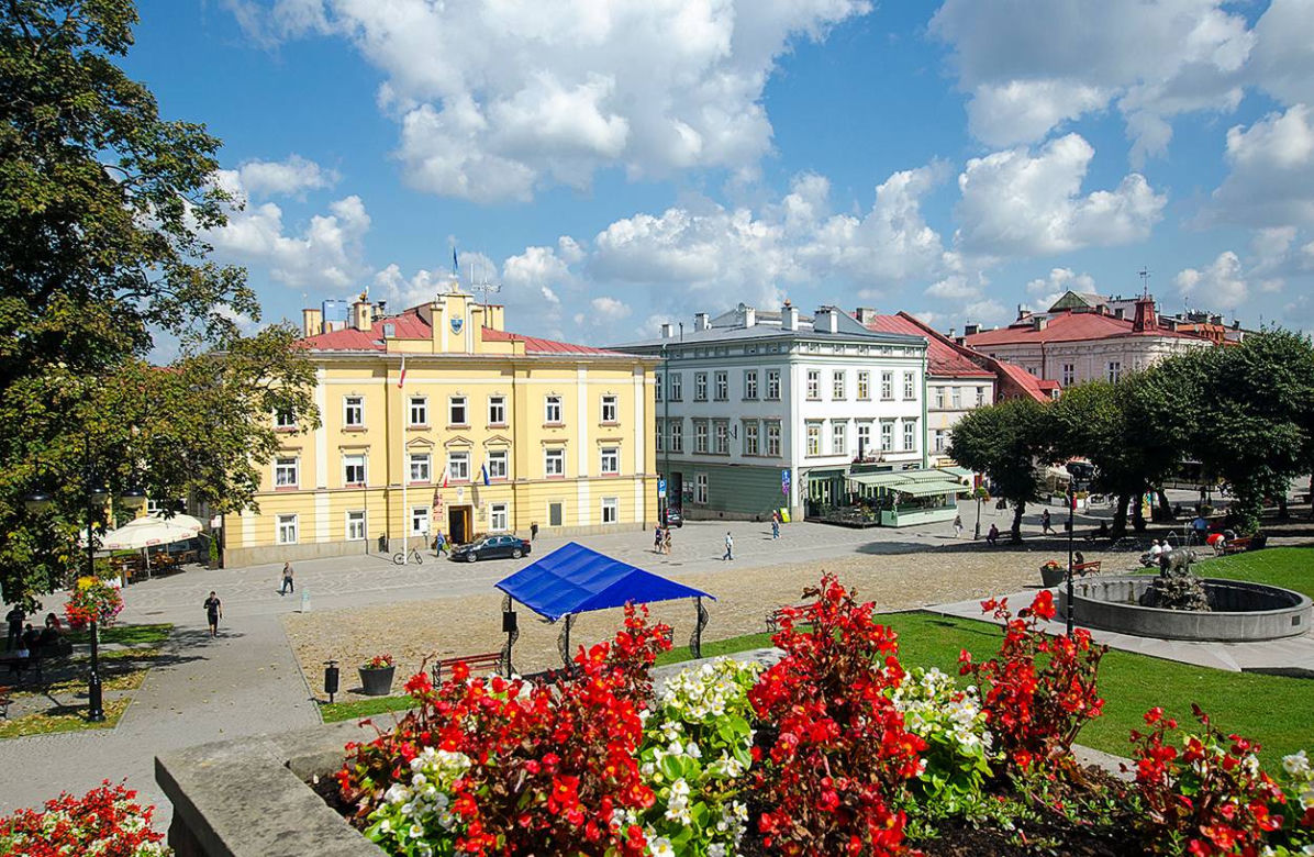 Koci celebryta z Przemyśla. Poznajcie kota Cząbra!