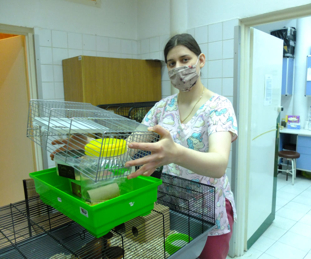 W Lublinie działa...okno życia dla małych zwierząt. Są szczurki, myszki, na nawet króliki i świnki morskie. Można je adoptować.