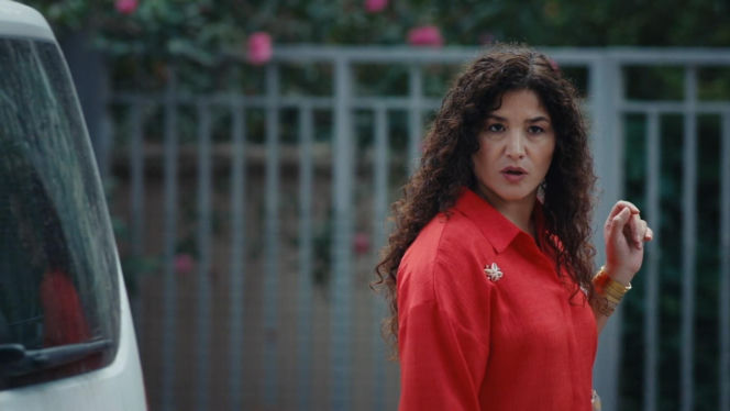 Dziedzictwo, odc. 897. Cansel