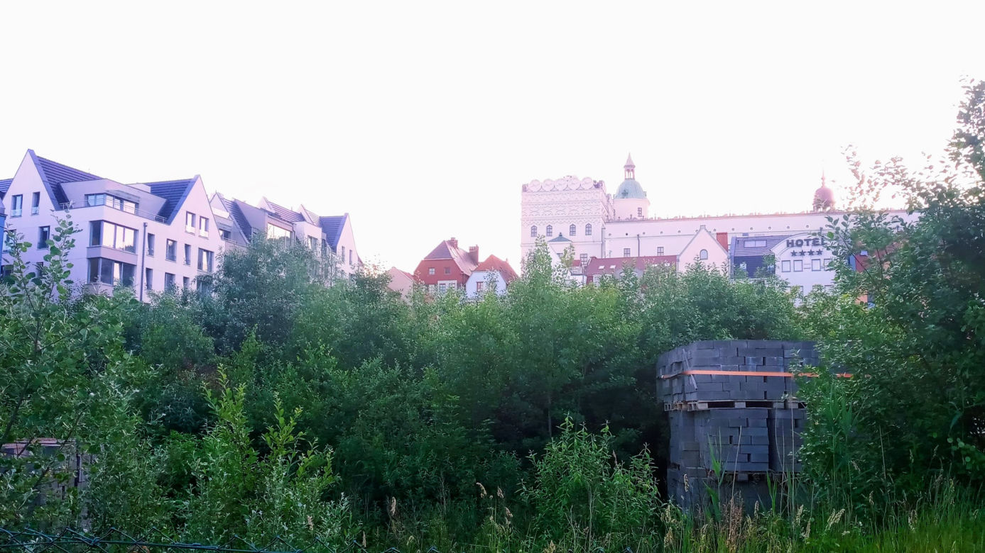 Szczecin: Od lat zarastała chaszczami. Pusta działka na Podzamczu przestanie straszyć?