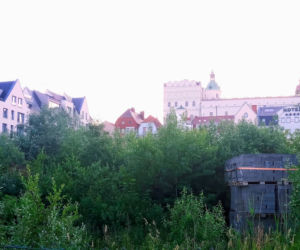 Szczecin: Od lat zarastała chaszczami. Pusta działka na Podzamczu przestanie straszyć?